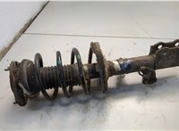 4852009890, 4813102841 Амортизатор подвески Toyota Corolla E12 2001-2006 20597373 #1