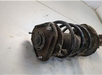 4852009890, 4813102841 Амортизатор подвески Toyota Corolla E12 2001-2006 20597373 #2