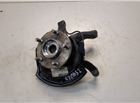  Ступица (кулак, цапфа) Nissan X-Trail (T30) 2001-2007 20597951 #1