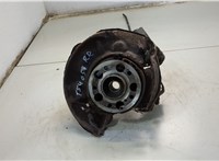 A2033570008, A2033504008 Ступица (кулак, цапфа) Mercedes CLK W209 2002-2010 20597970 #1