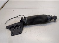  Пневмоподушка подвески кабины Renault T 2013-2022 20598011 #1
