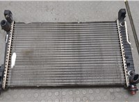 A1695000003 Радиатор охлаждения двигателя Mercedes A W169 2004-2012 20598172 #1