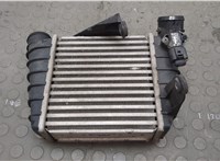  Радиатор интеркулера Skoda Roomster 2006-2015 20598340 #1