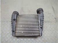  Радиатор интеркулера Volkswagen Passat 5 2000-2005 20598351 #1