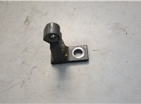  Петля двери Audi Q5 2008-2017 20598478 #3