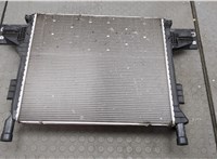  Радиатор охлаждения двигателя Audi Q4 E-tron 2021-2025 20598514 #1