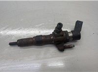 1791017, 2079589, AV6Q9F593AD, REAV6Q9F593AD, 9802448680 Форсунка топливная Ford C-Max 2010-2015 20598659 #1