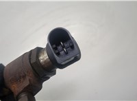 1791017, 2079589, AV6Q9F593AD, REAV6Q9F593AD, 9802448680 Форсунка топливная Ford C-Max 2010-2015 20598662 #2