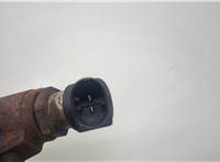 1791017, 2079589, AV6Q9F593AD, REAV6Q9F593AD, 9802448680 Форсунка топливная Ford C-Max 2010-2015 20598664 #2