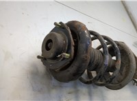  Амортизатор подвески Nissan X-Trail (T30) 2001-2007 20598884 #3