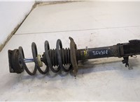  Амортизатор подвески Mercedes B W245 2005-2011 20598978 #1