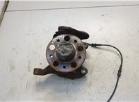  Ступица (кулак, цапфа) Mercedes C W203 2000-2008 20599014 #1