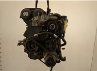  Насос гидроусилителя руля (ГУР) Ford Focus 2 2005-2008 11500218 #1