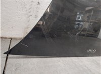 4F0823029F Капот Audi A6 (C6) 2004-2011 20600632 #9