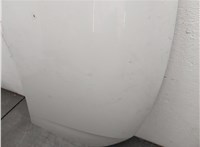  Капот Dacia Sandero 2013-2020 20600782 #11