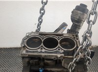  Блок цилиндров (Шорт блок) Skoda Fabia 2007-2014 20600919 #1