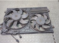  Вентилятор радиатора Skoda Octavia (A5) 2004-2013 20600960 #1