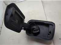 51917387934, 7387934 Лючок бензобака BMW 5 G30, G31 2017-2023 20601031 #2