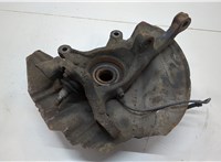  Ступица (кулак, цапфа) BMW X5 E53 2000-2006 20601369 #1