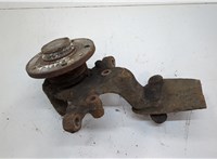  Ступица (кулак, цапфа) Skoda Octavia (A5) 2004-2013 20601389 #1