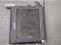  Радиатор интеркулера Hyundai Santa Fe 2005-2012 20601962 #1