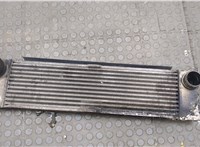  Радиатор интеркулера Mercedes Vito W639 2003-2014 20601969 #1
