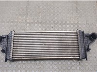  Радиатор интеркулера Mercedes ML W164 2005-2011 20601983 #1