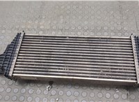  Радиатор интеркулера Mercedes ML W164 2005-2011 20601983 #2