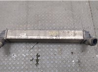  Радиатор интеркулера Renault Laguna 3 2007-2025 20602119 #1