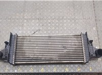  Радиатор интеркулера Mercedes ML W164 2005-2011 20602141 #1