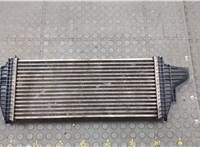  Радиатор интеркулера Mercedes ML W164 2005-2011 20602141 #2