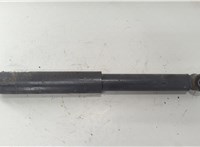 23804796 Амортизатор подвески Renault T 2013-2022 20602216 #1