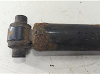  Амортизатор подвески Renault T 2013-2022 20602362 #2