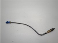  Лямбда зонд Ford Focus 2 2008-2011 20602529 #1