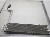  Радиатор масляный Volkswagen Touareg 2002-2007 20602608 #1