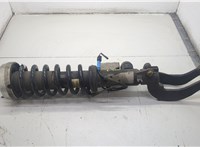  Амортизатор подвески BMW X6 E71 2007-2014 20603365 #1