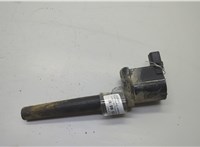  Катушка зажигания Lincoln Navigator 2002-2006 20603836 #1