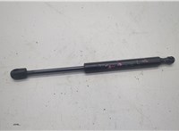  Амортизатор капота Infiniti JX 2012-2014 20603920 #1