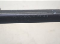  Амортизатор капота Infiniti JX 2012-2014 20603920 #2