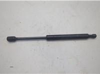  Амортизатор капота Infiniti JX 2012-2014 20603922 #1