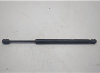  Амортизатор капота Nissan Murano 2008-2015 20603926 #1