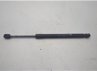  Амортизатор капота Nissan Murano 2008-2015 20603929 #1