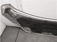  Капот Ford Transit (Tourneo) Custom 2012-2025 20604256 #2