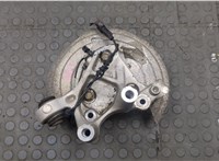 13507017 Ступица (кулак, цапфа) Chevrolet Malibu 2015-2018 20604436 #1
