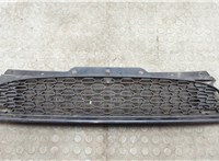  Решетка радиатора Mini Cooper (R56/R57) 2006-2013 20604466 #1