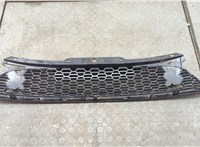  Решетка радиатора Mini Cooper (R56/R57) 2006-2013 20604466 #3