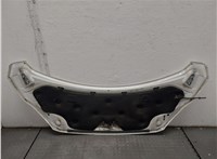  Капот Ford Transit (Tourneo) Custom 2012-2025 20604496 #6