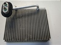  Радиатор кондиционера салона Hyundai Sonata 5 NF 2005-2010 20604905 #1