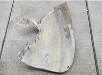  Защита арок (подкрылок) Renault Scenic 2003-2009 20605099 #1