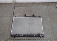  Радиатор охлаждения двигателя Toyota Previa (Estima) 2000-2006 20605129 #1